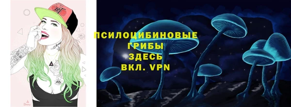 МДПВ Абдулино