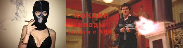 ПСИЛОЦИБИНОВЫЕ ГРИБЫ Алзамай