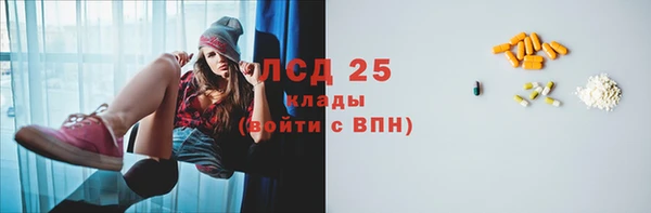 ПСИЛОЦИБИНОВЫЕ ГРИБЫ Алзамай
