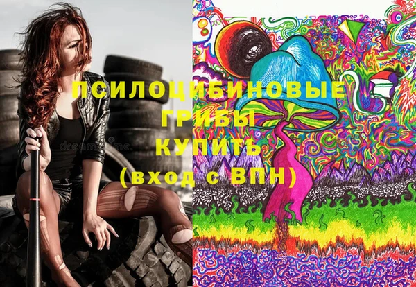 ПСИЛОЦИБИНОВЫЕ ГРИБЫ Алзамай