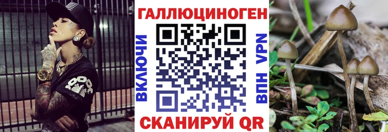 хочу   Шарья  Псилоцибиновые грибы Cubensis 