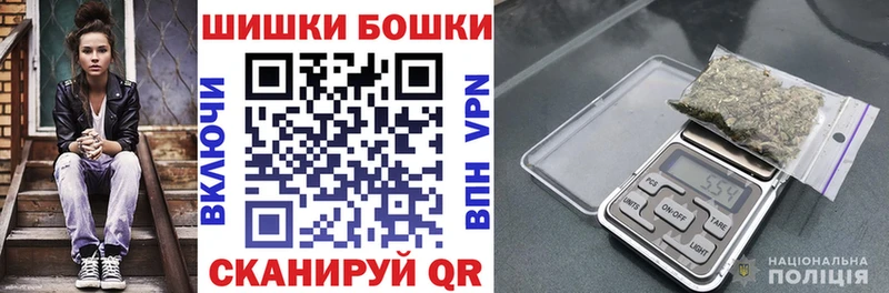 сколько стоит  Шарья  Бошки Шишки план 